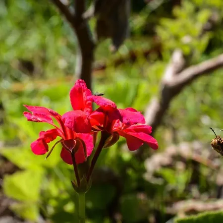 Quinta Dos Frutos Санта-Крус-да-Грацио