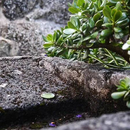 Quinta Dos Frutos Дом отдыха *