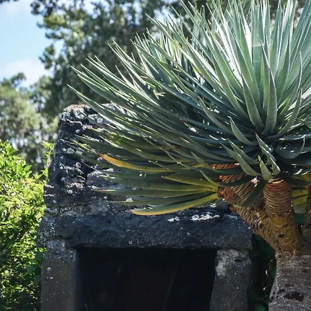 Quinta Dos Frutos Casa de Férias