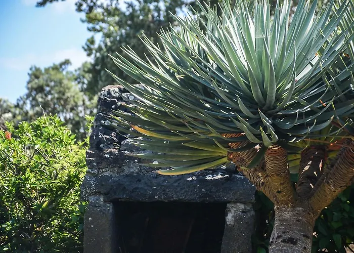 Quinta Dos Frutos Сasa de vacaciones