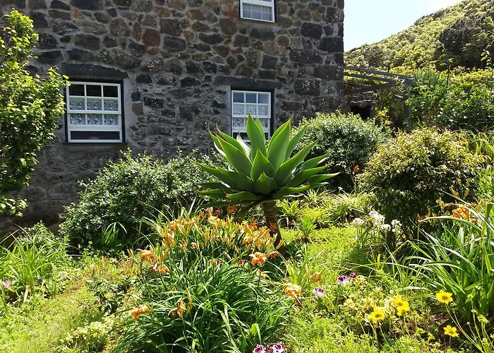 Quinta Dos Frutos Сasa de vacaciones *