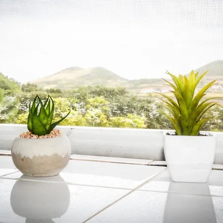 Quinta Dos Frutos