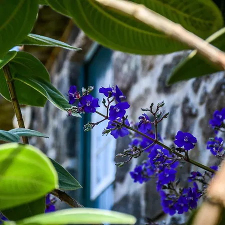 Quinta Dos Frutos *