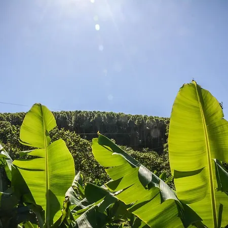 Quinta Dos Frutos
