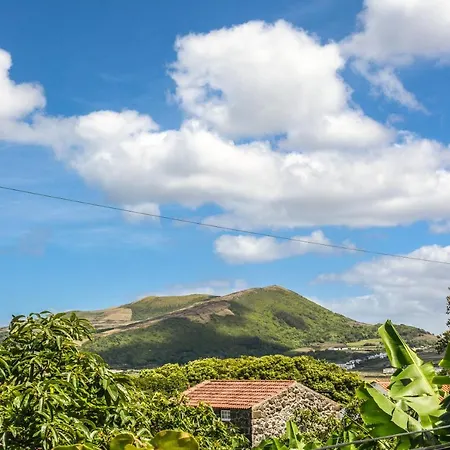 Quinta Dos Frutos Hébergement de vacances Santa Cruz da Graciosa