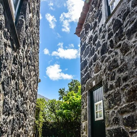 Quinta Dos Frutos Hébergement de vacances Santa Cruz da Graciosa