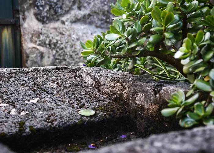 Quinta Dos Frutos Holiday home *